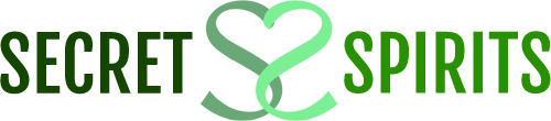 Secret Spirits, Depression Recovery Zoom Meetings and Retreats